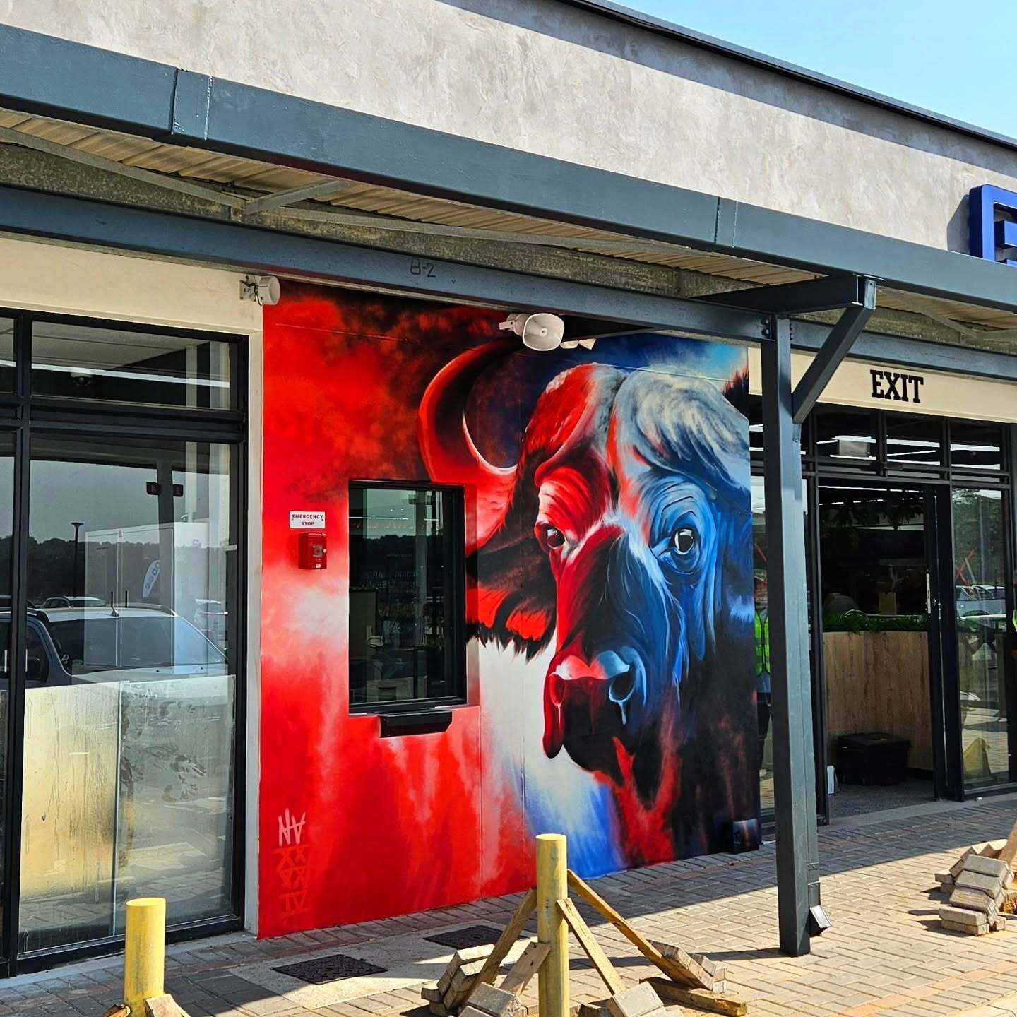Buffalo Mural