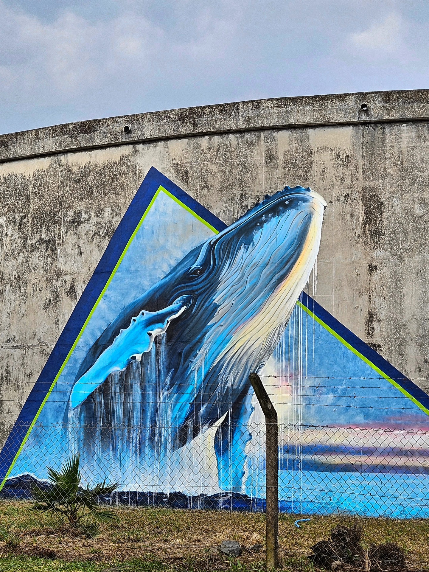 Gonubie Whale