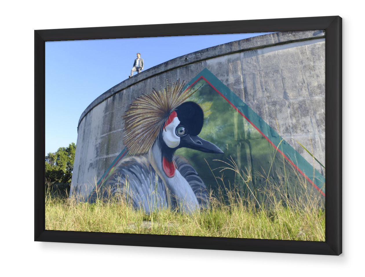 GONUBIE CROWNED CRANE MURAL PRINT