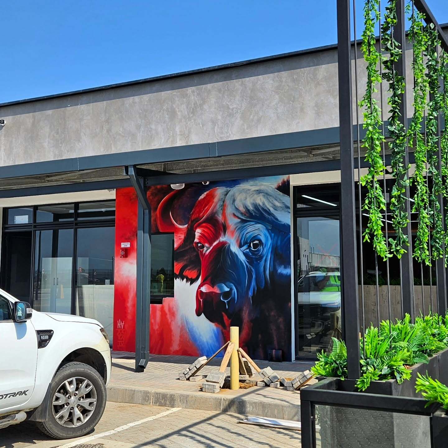 Buffalo Mural