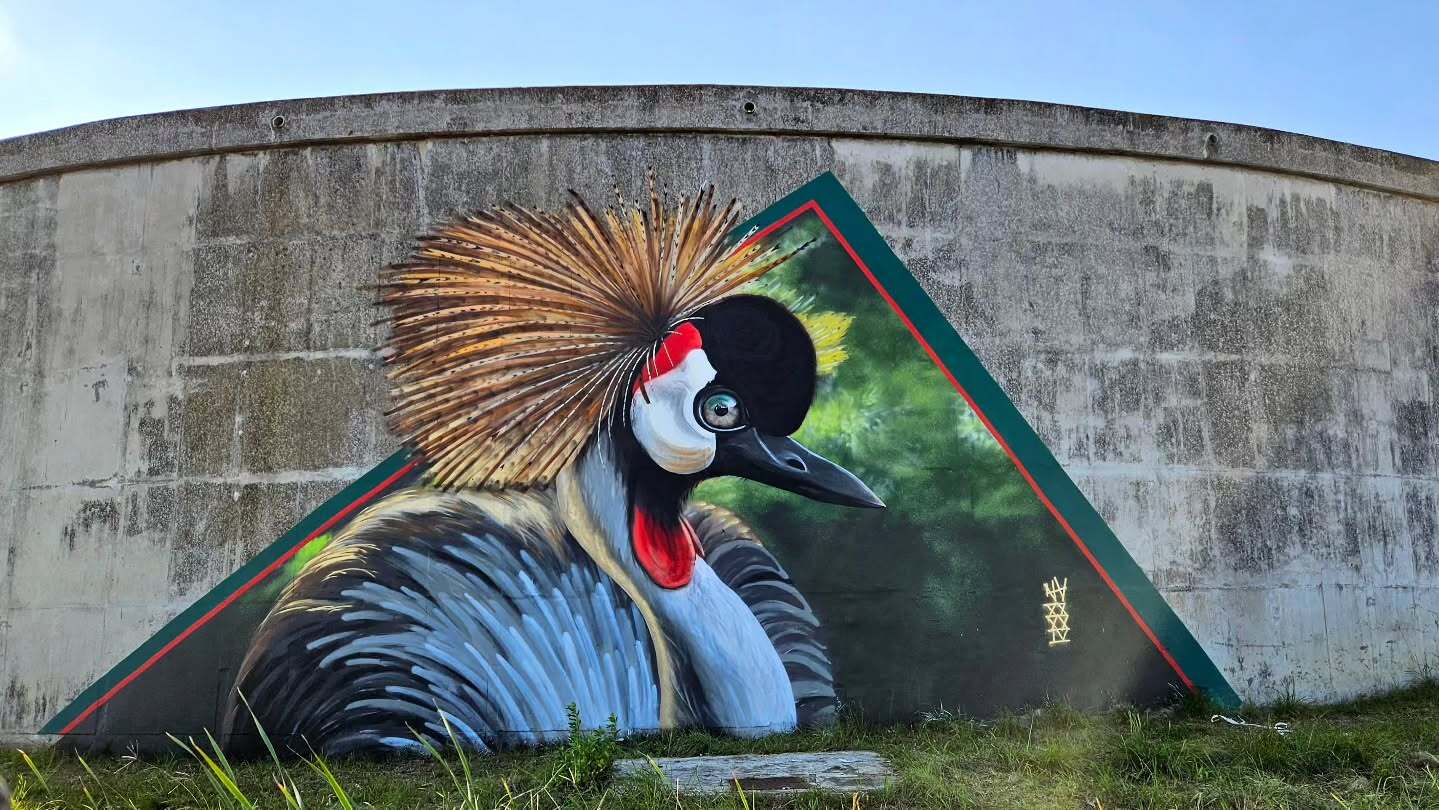 Gonubie Crane Mural