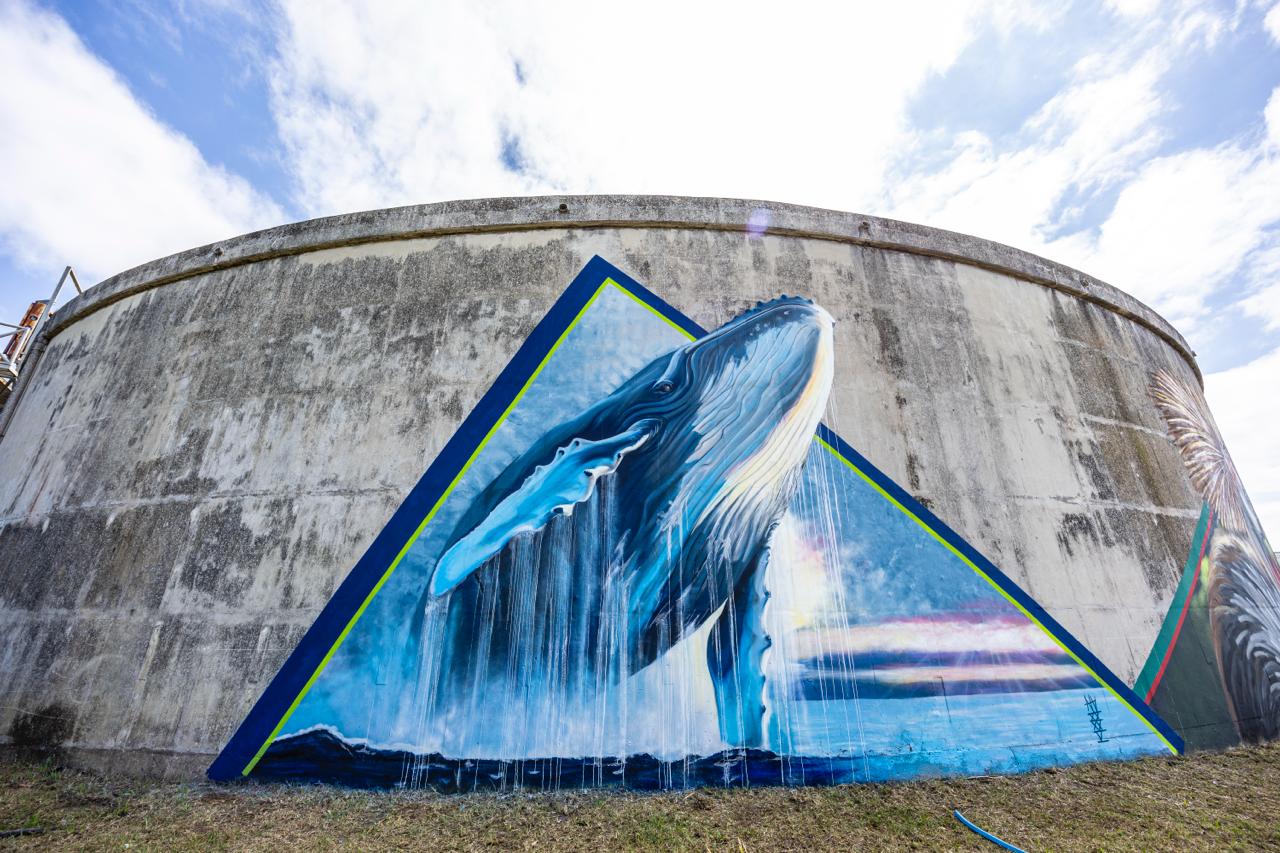 Gonubie Whale