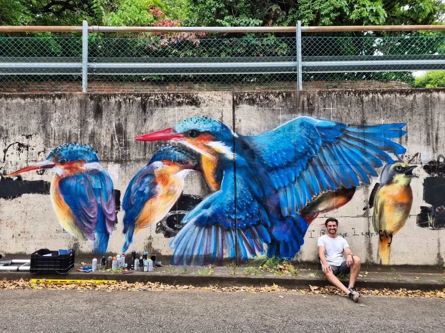 Chamberlain Road // Kingfishers