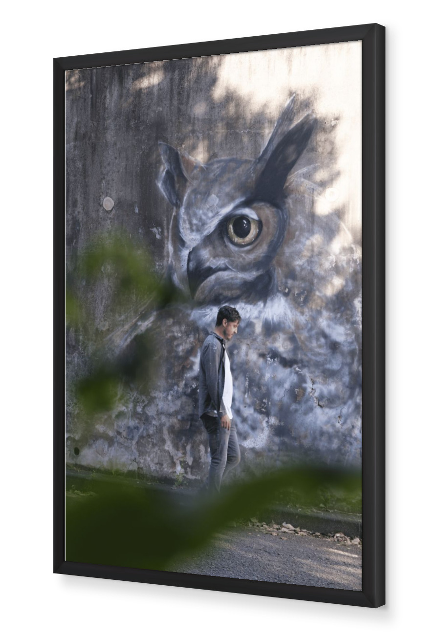 OWL MURAL PRINT #1