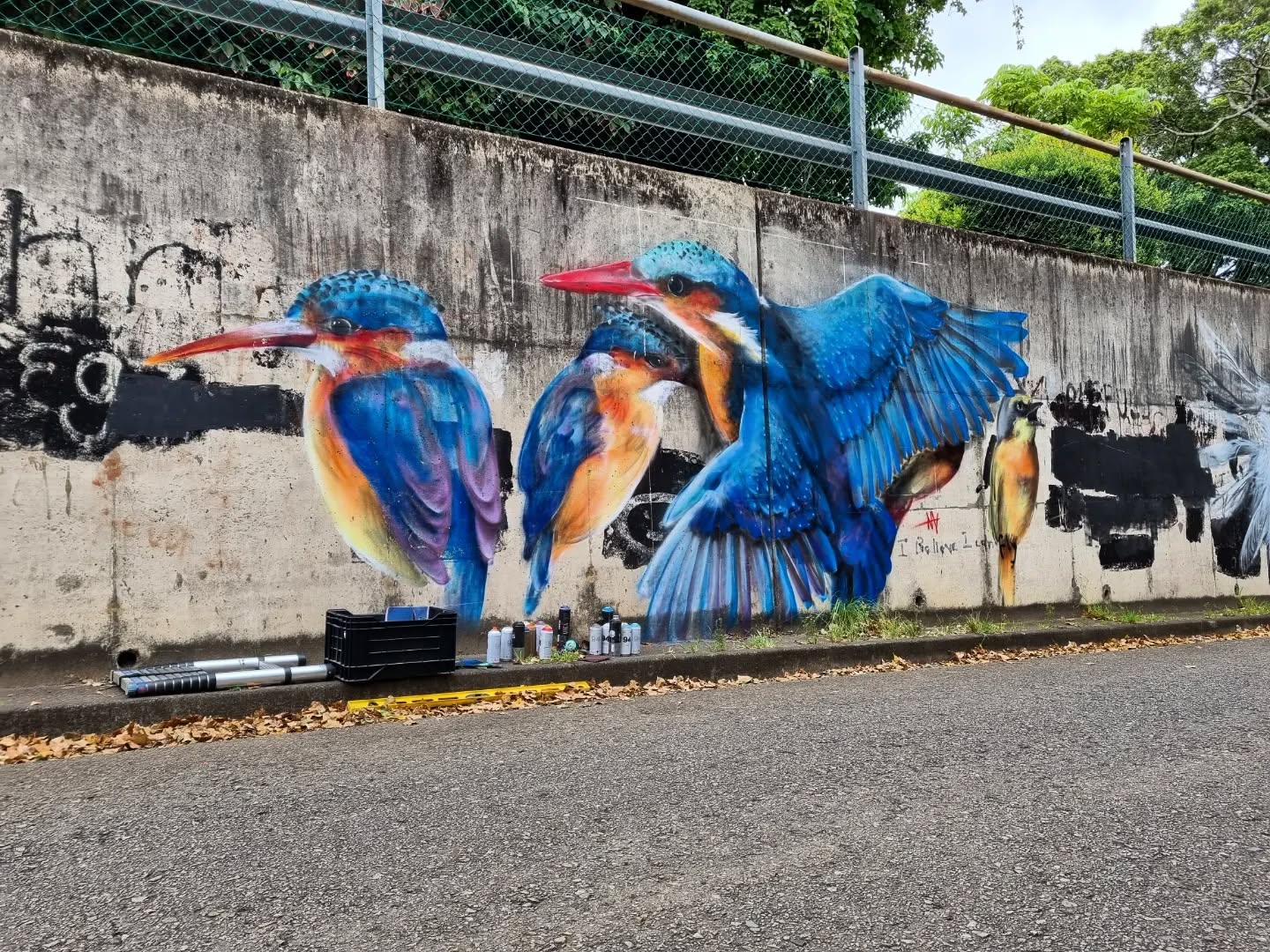 Chamberlain Road // Kingfishers
