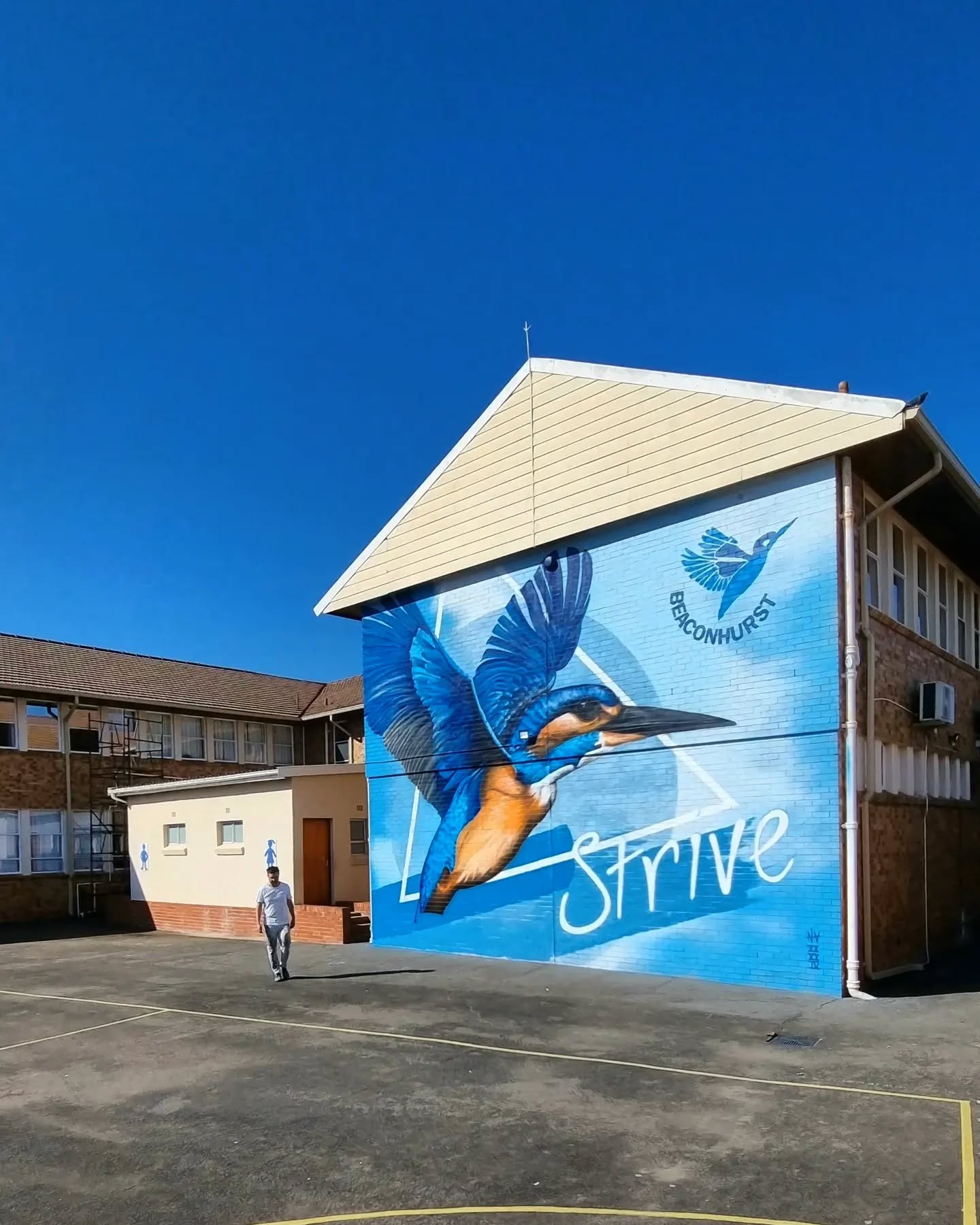 Strive
